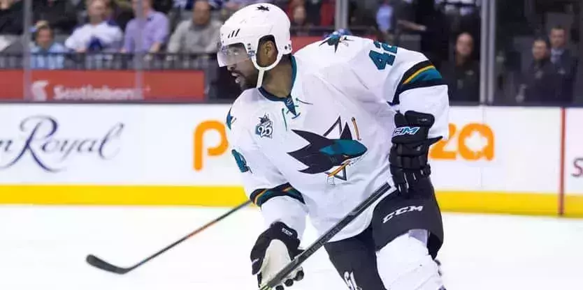 Experience the Toronto&amp;amp;#039;s legendary ice hockey