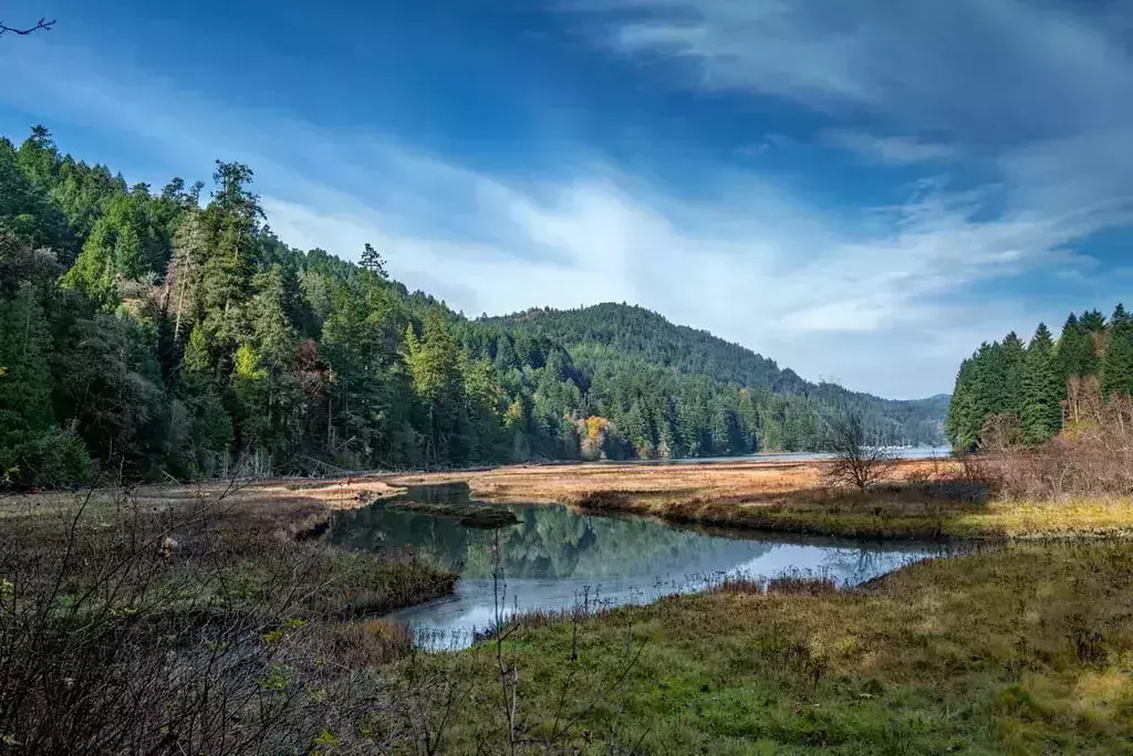 Where to Take the Best Instagram Photos in Victoria British Columbia