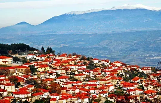 Ελασσόνα