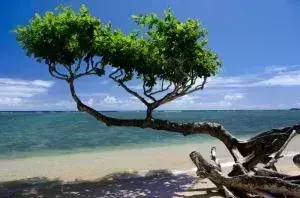 anini beach kauai