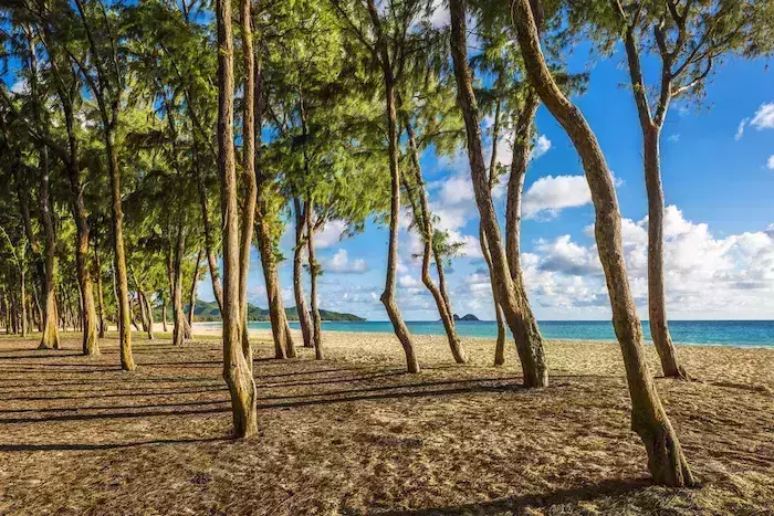 best beaches in Oahu