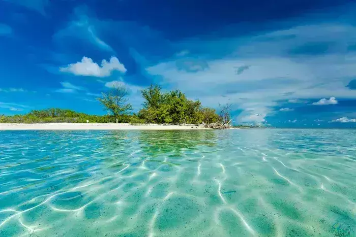 best places for snorkeling in the Bahamas
