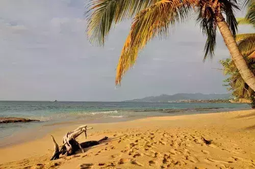 best snorkeling destinations in Grenada