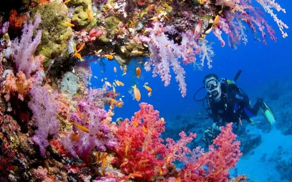 Tubbataha Reefs