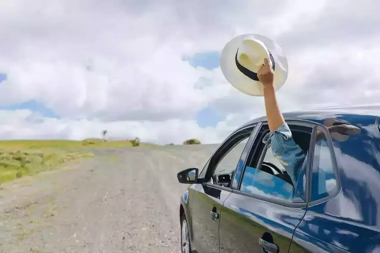 Best Road Trip Movie