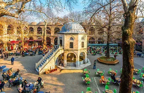 Bursa