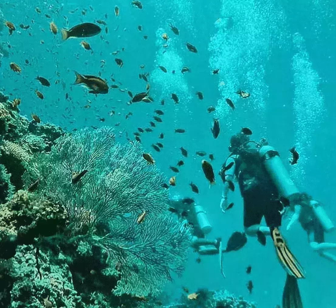 Jean-Michel Cousteau Resort