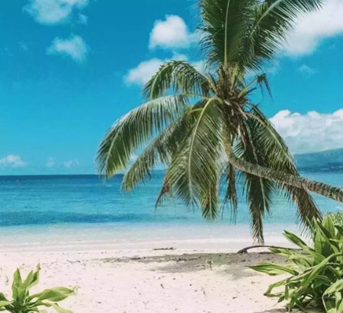 Qamea Resort and Spa