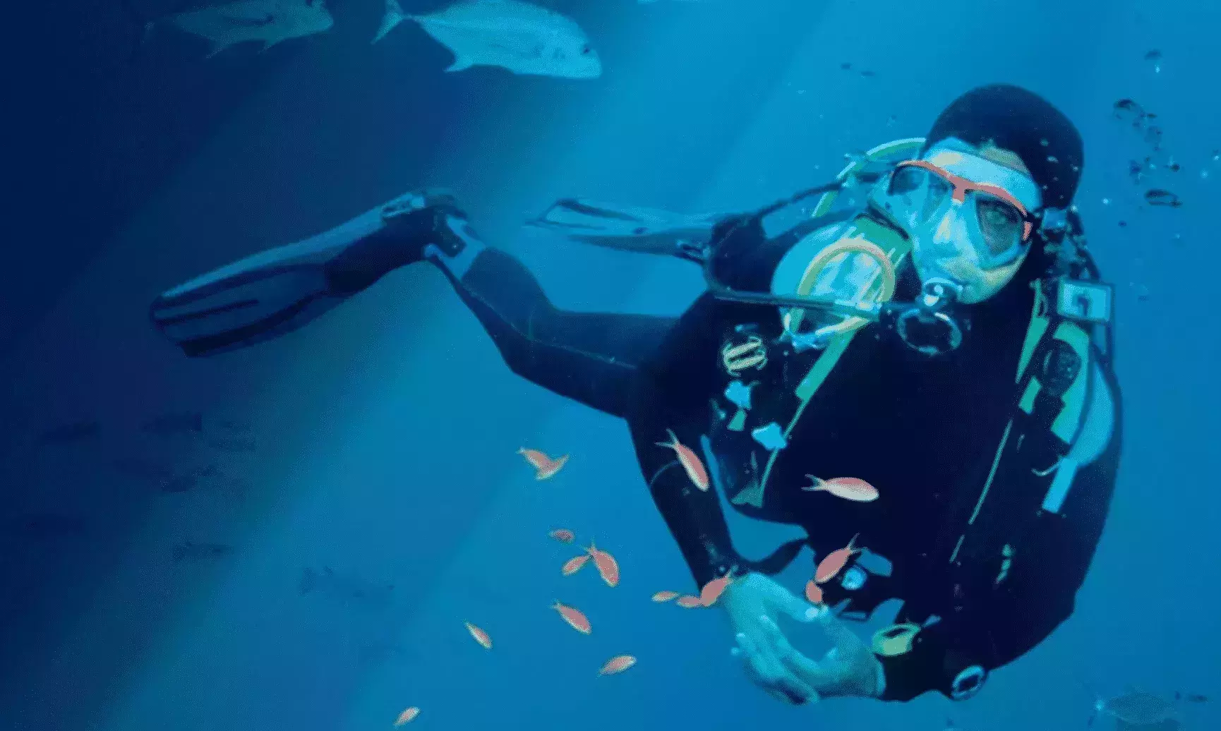 Dive resorts