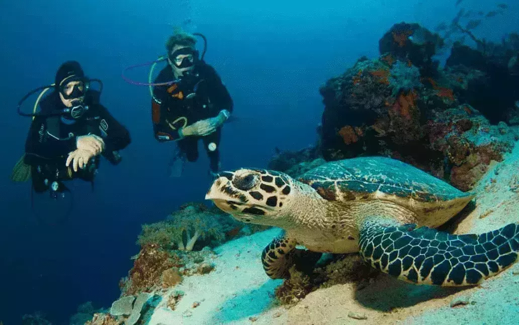 Six Senses Zighy Bay Dive
