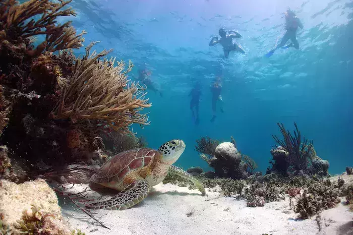 best places for snorkeling in Cancun