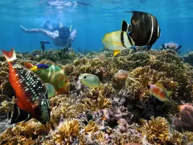 The Best Places for Snorkeling in Mexico