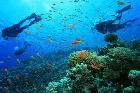 best places for snorkelling in Dubai
