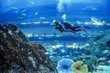 best places for snorkelling in Dubai