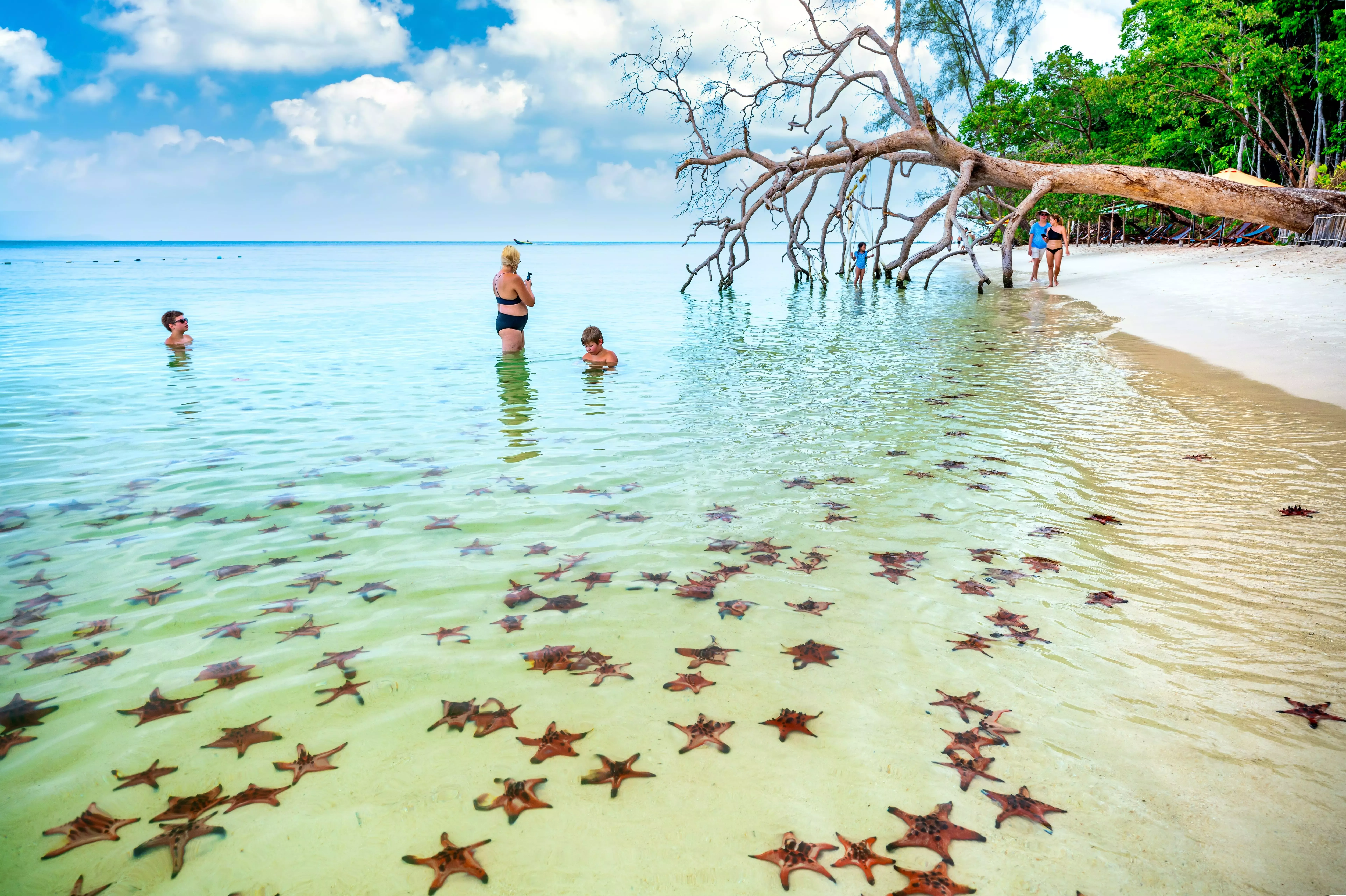 An incredibly unique experience at Starfish Beach, Vietnam.