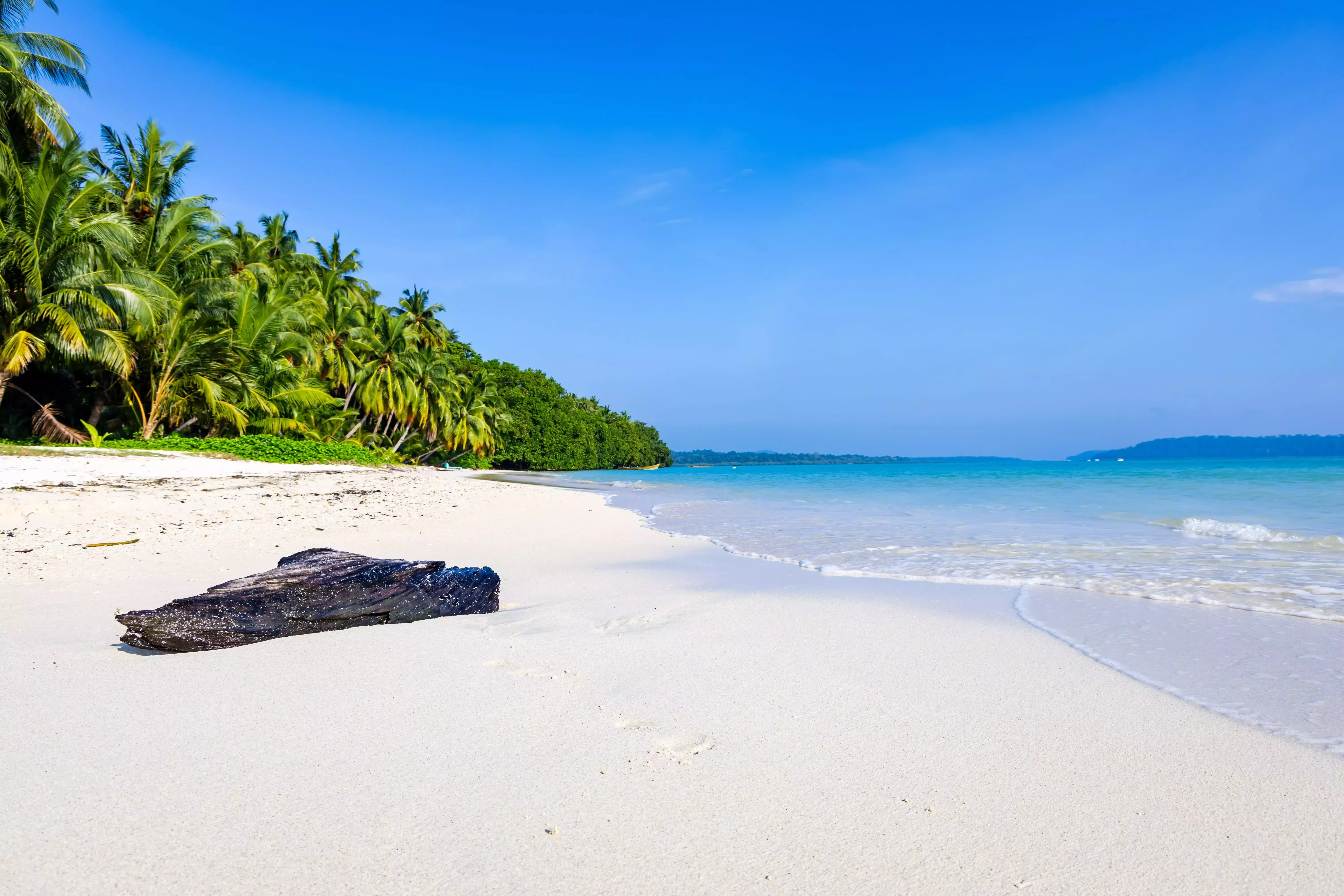 India's best beach.