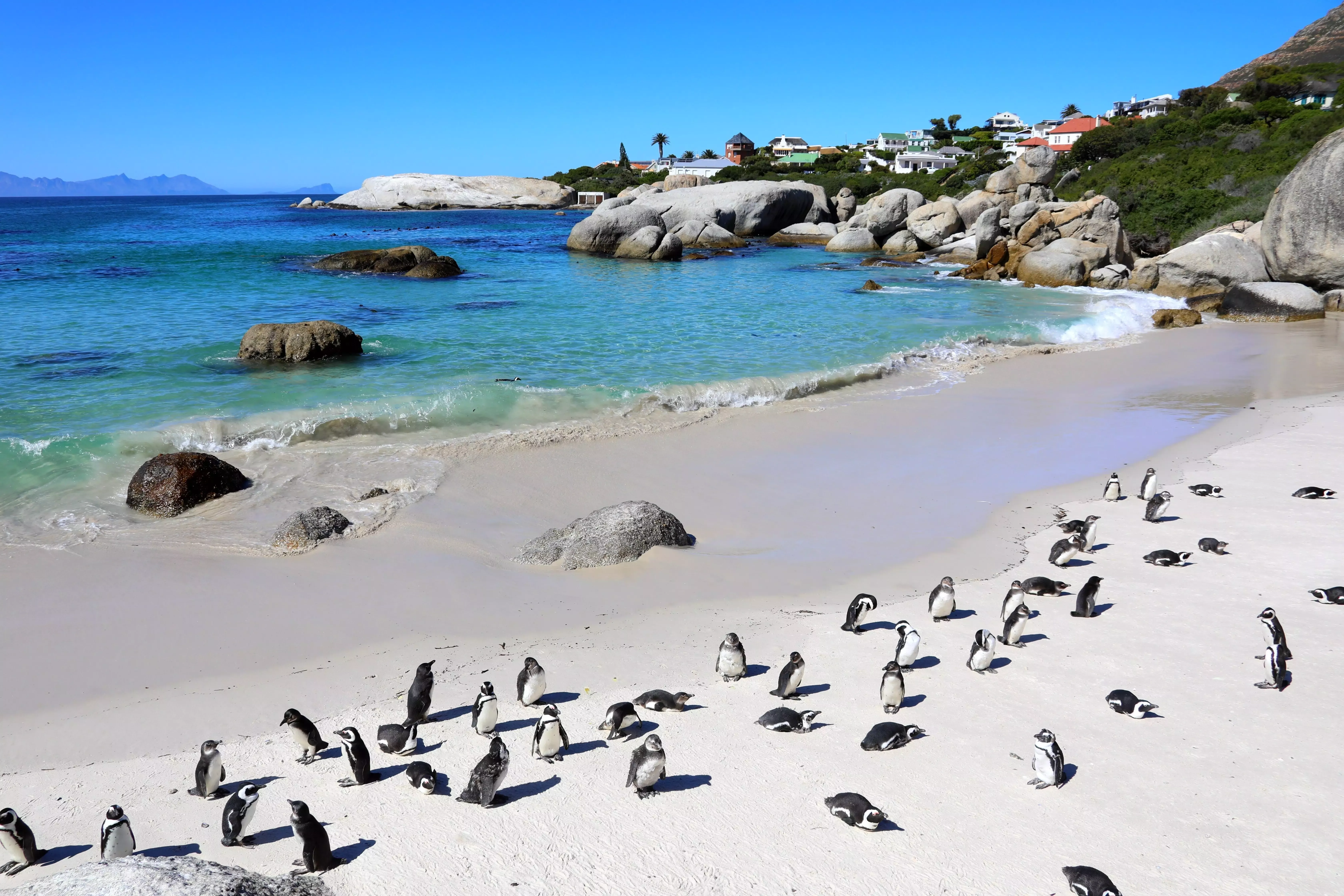 An incredible beach in South Africa.