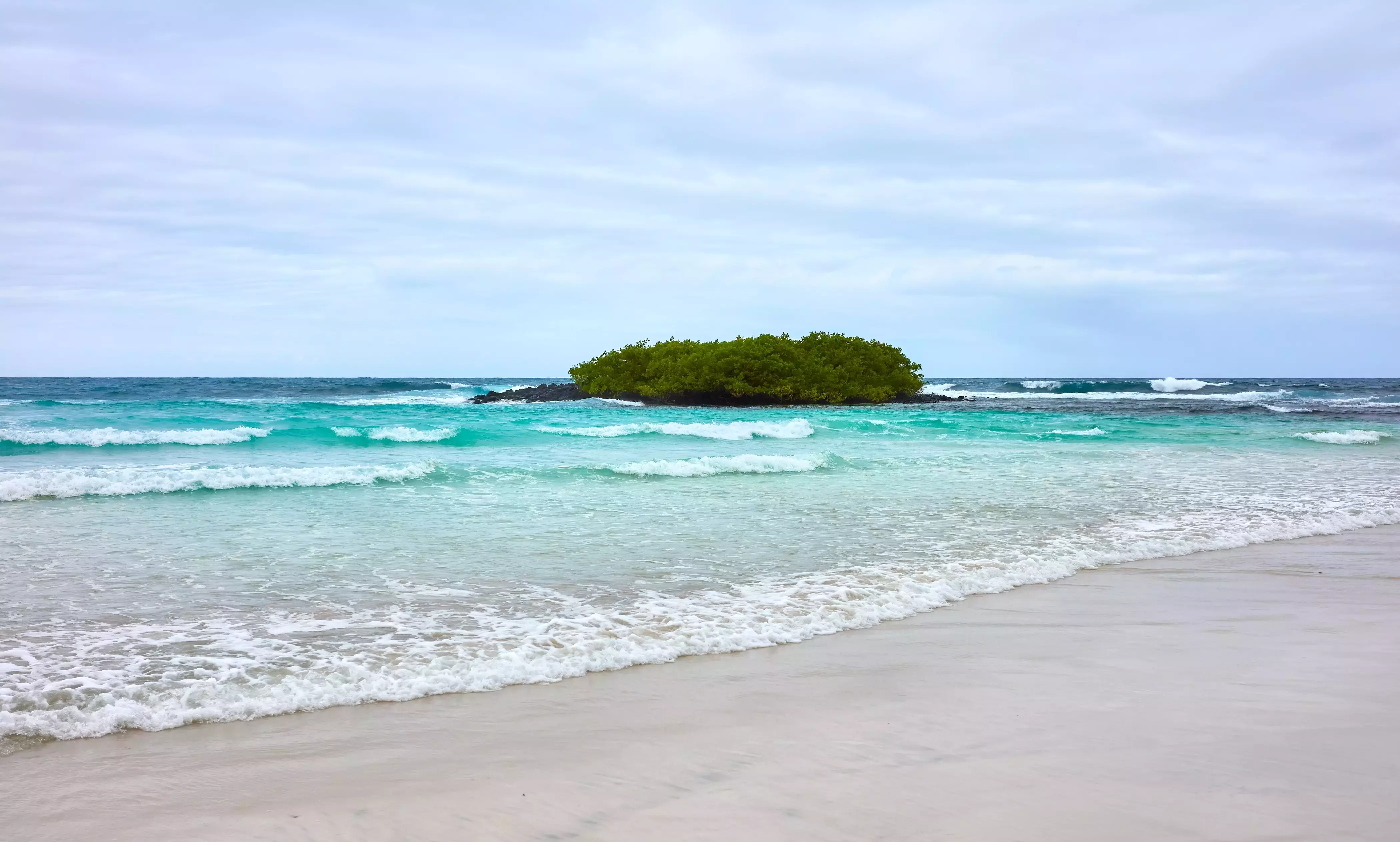 The Galapagos Islands are known for being some of the best wildlife watching beaches anywhere on Earth.