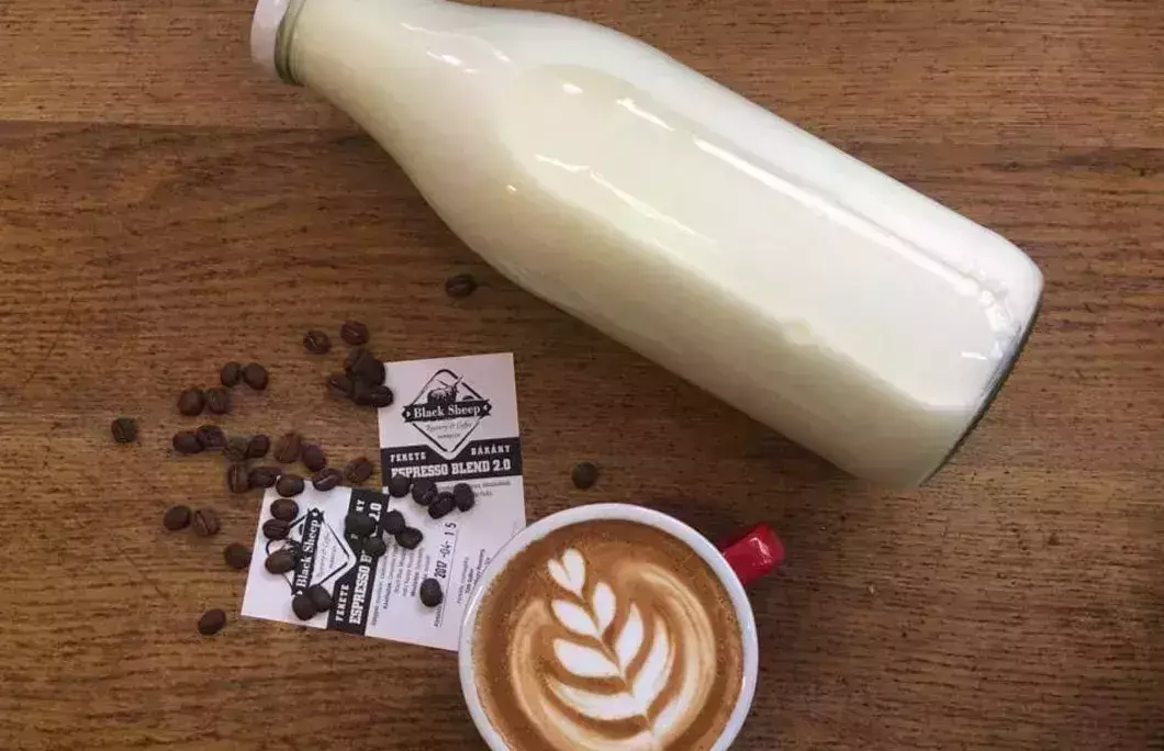 23. Cut & Coffee – Debrecen