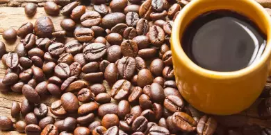 Here Are The 50 Best Coffee Shops in Europe 2024