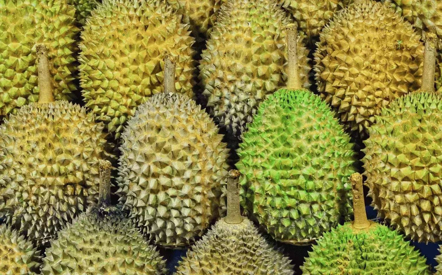 Should you eat Durian in Thailand