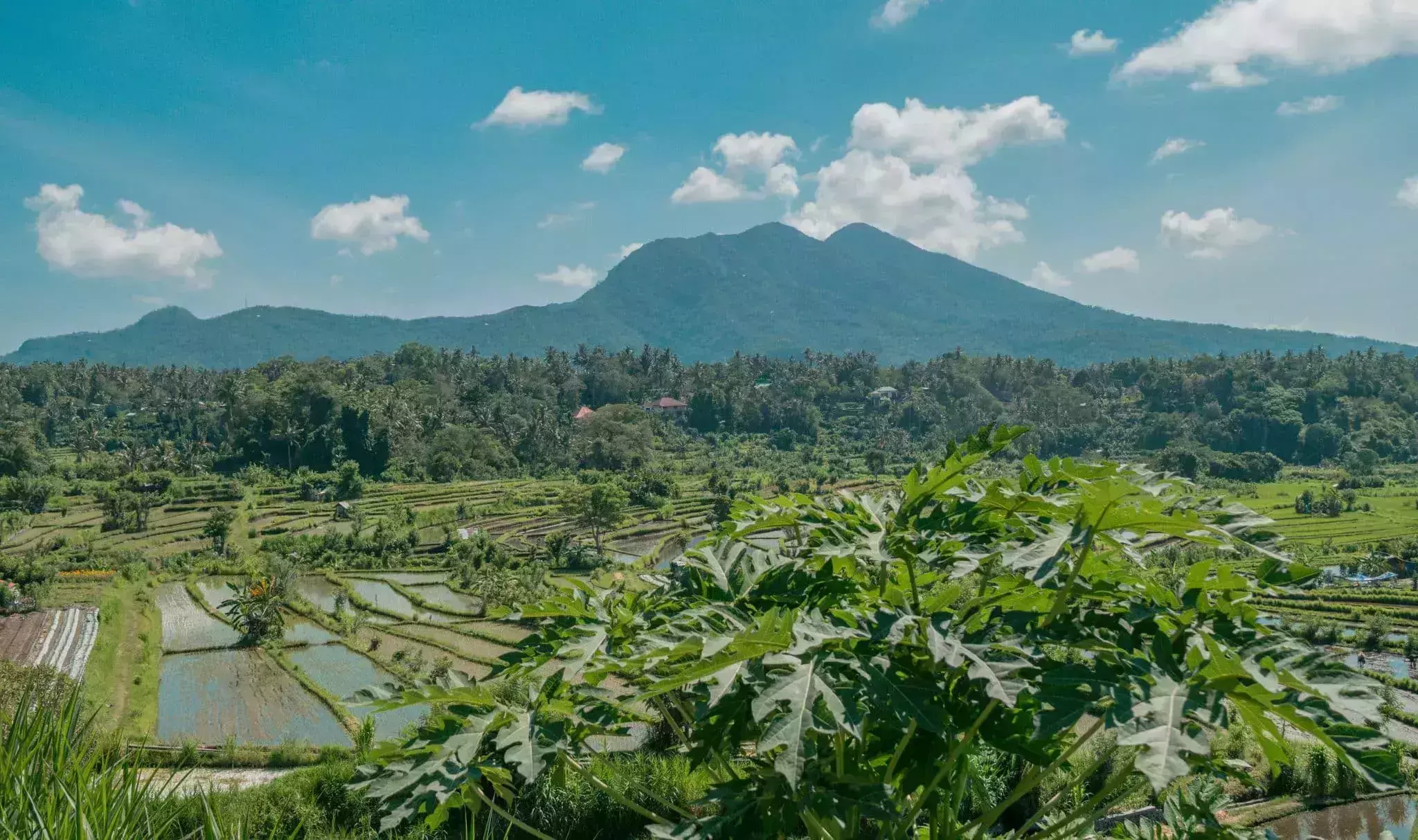 digital nomad bali