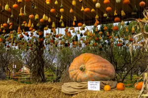 25 of the Best Autumn Food Festivals in Europe