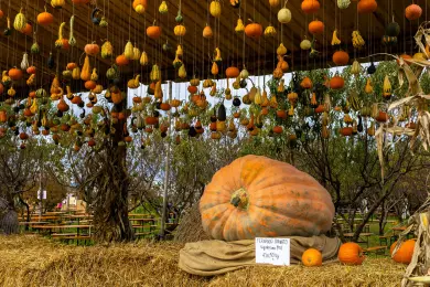 25 of the Best Autumn Food Festivals in Europe