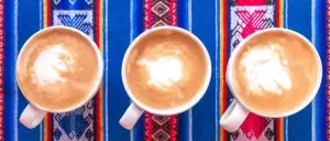 The 25 Best Coffee Shops In Bolivia