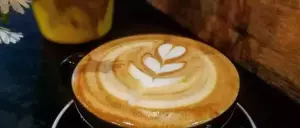 7 Of The Best Coffee Shops In Lyon