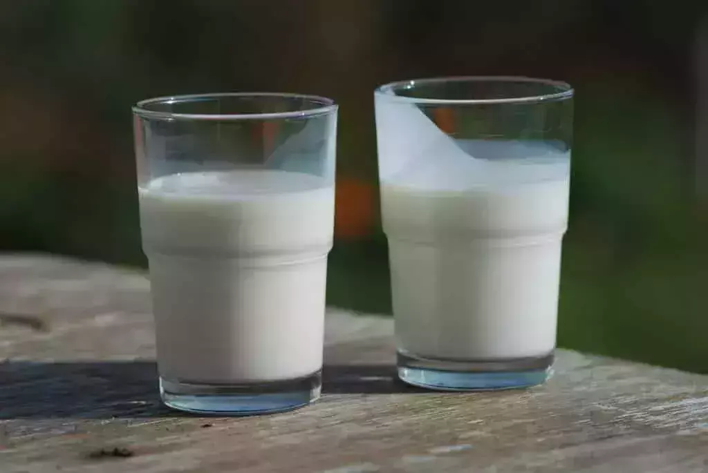 hangover cures around the world