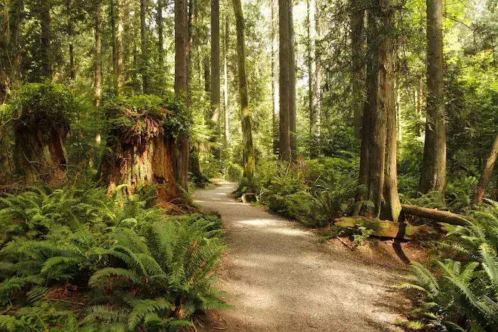 walks in Vancouver