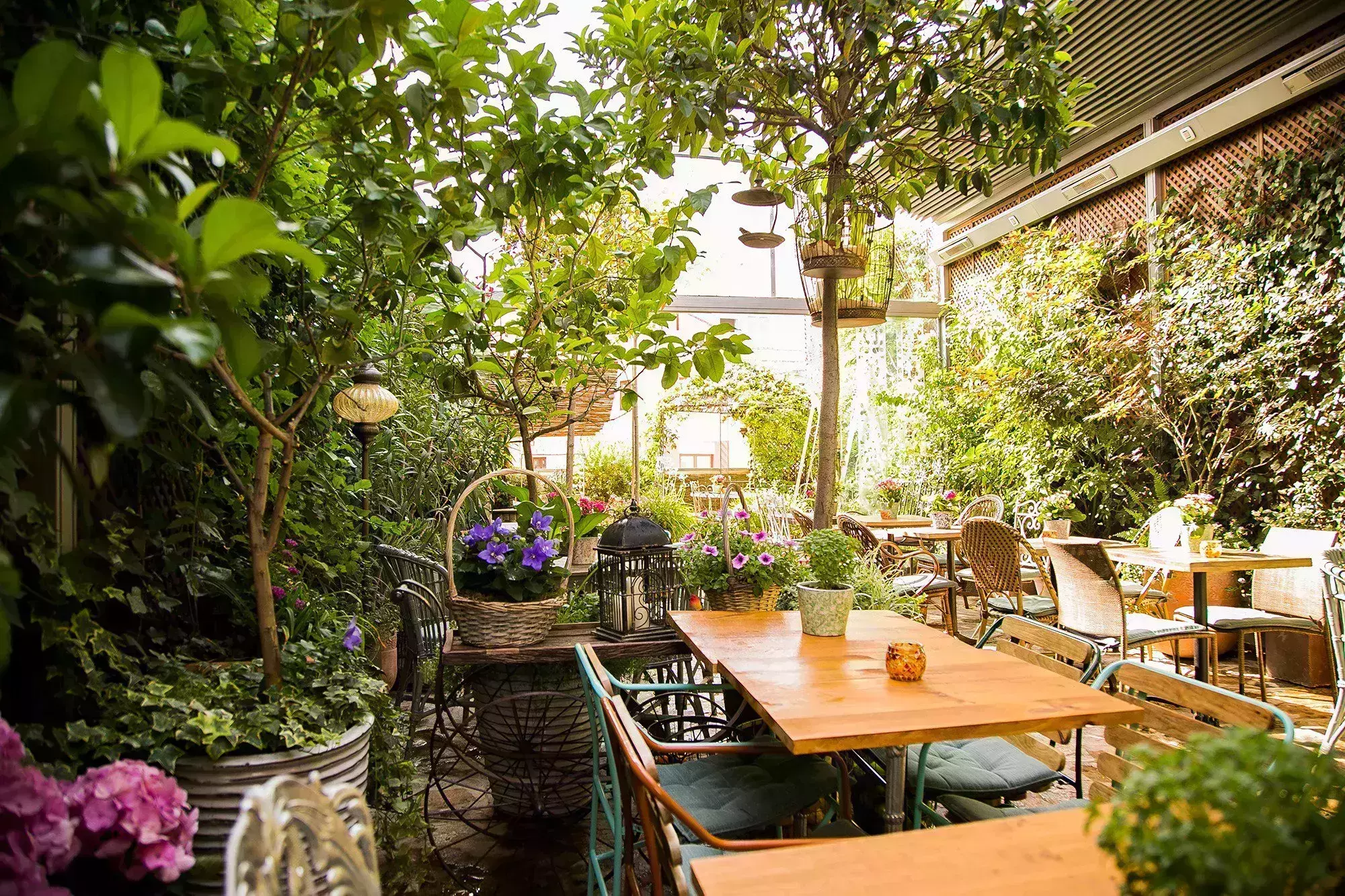 Most Romantic Restaurants in Madrid
