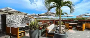 The 7 Best Rooftop Bars in Tampa