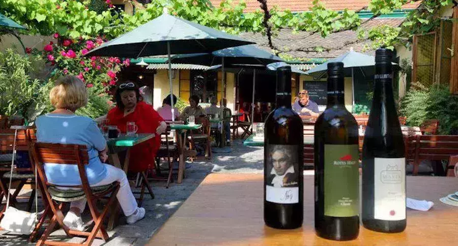 Wine Garden Vienna