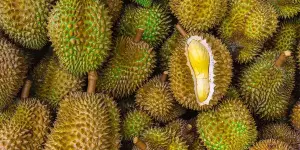 Durian Fruit: 7 Things To Know About The World's Smelliest Fruit
