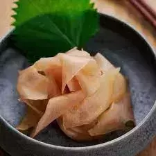Japanese Sushi Dishes