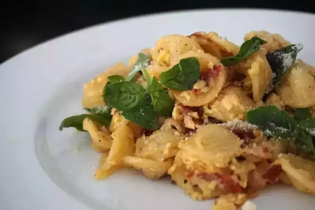 orecchiette pasta carbonara