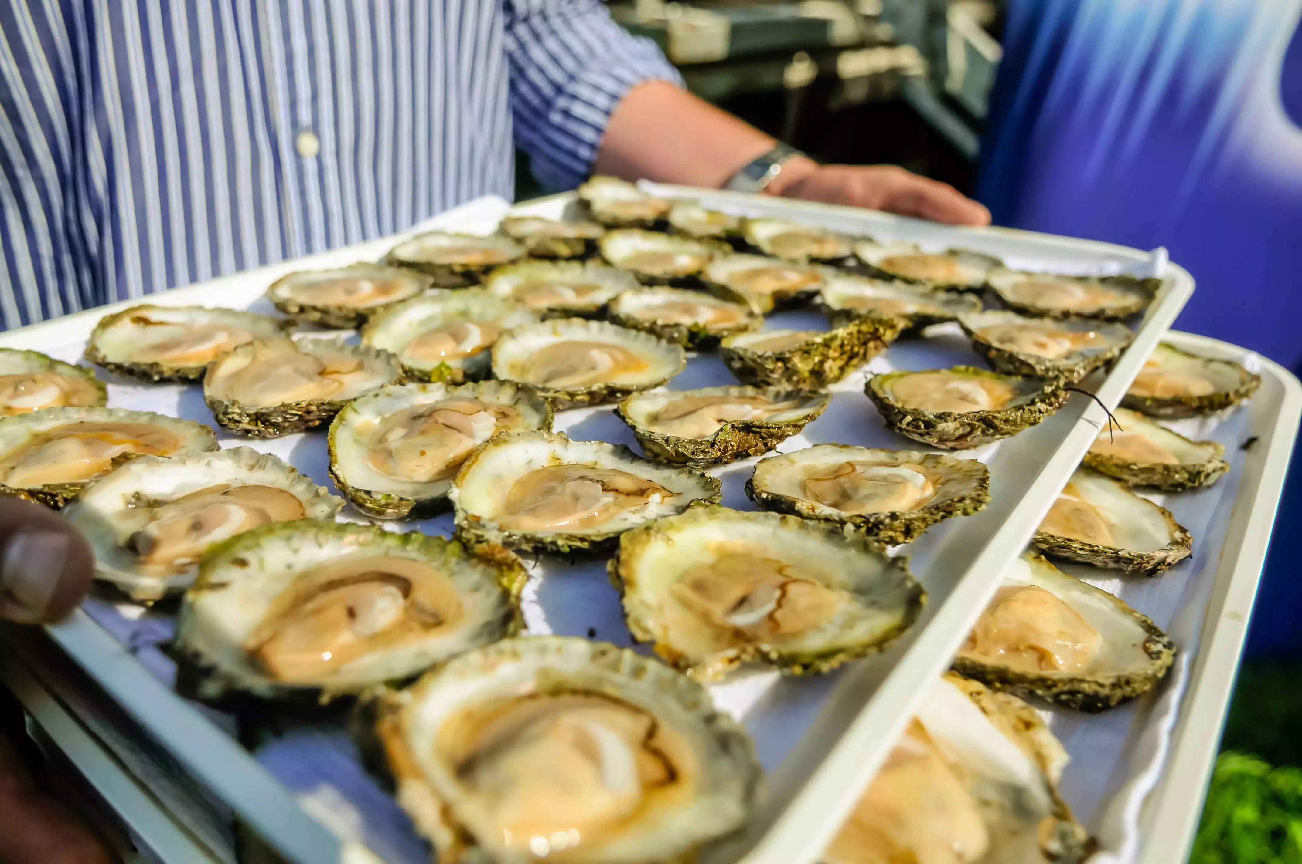 A tray of freshly-shucked oysters at the Galway International Oyster Festival in Galway, Ireland.