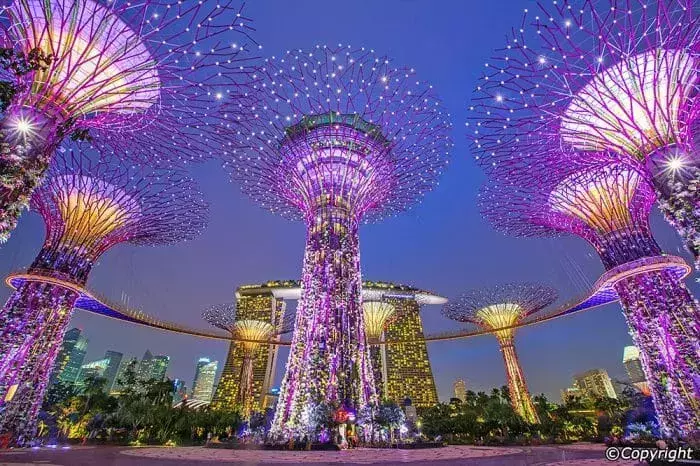 Super Tree Grove in SG