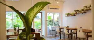 The 7 Best Coffee Shops In Phnom Penh