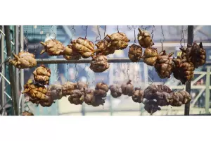 The 7 Best Food Festivals In Europe 2020