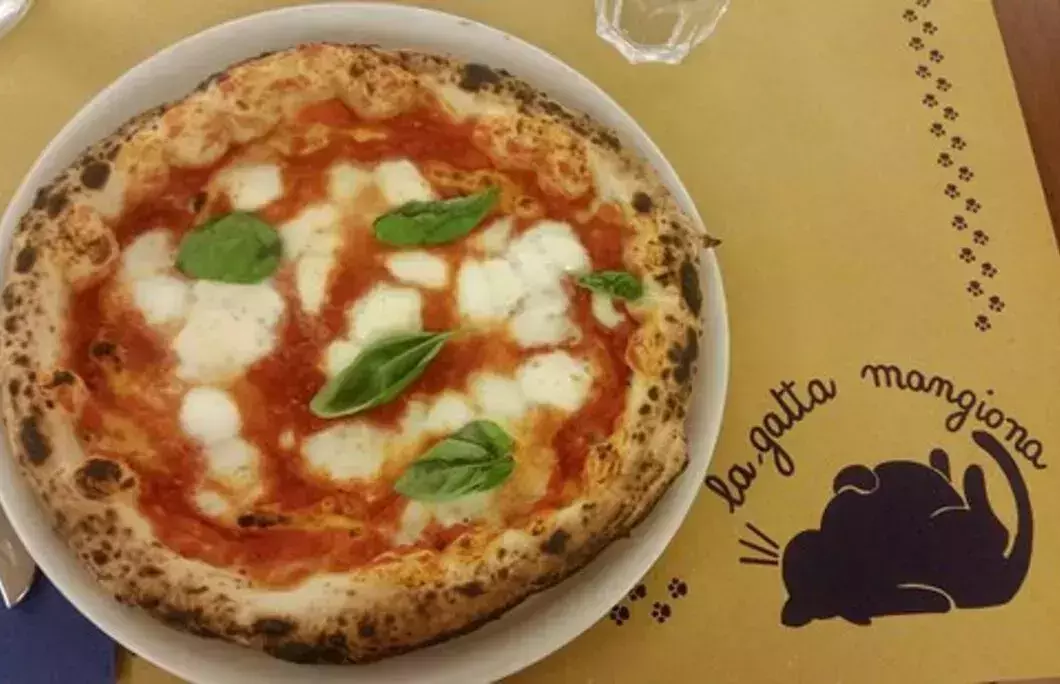 1. La Gatta Mangiona