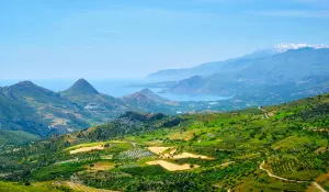 The 7 Best Wineries Near Heraklion