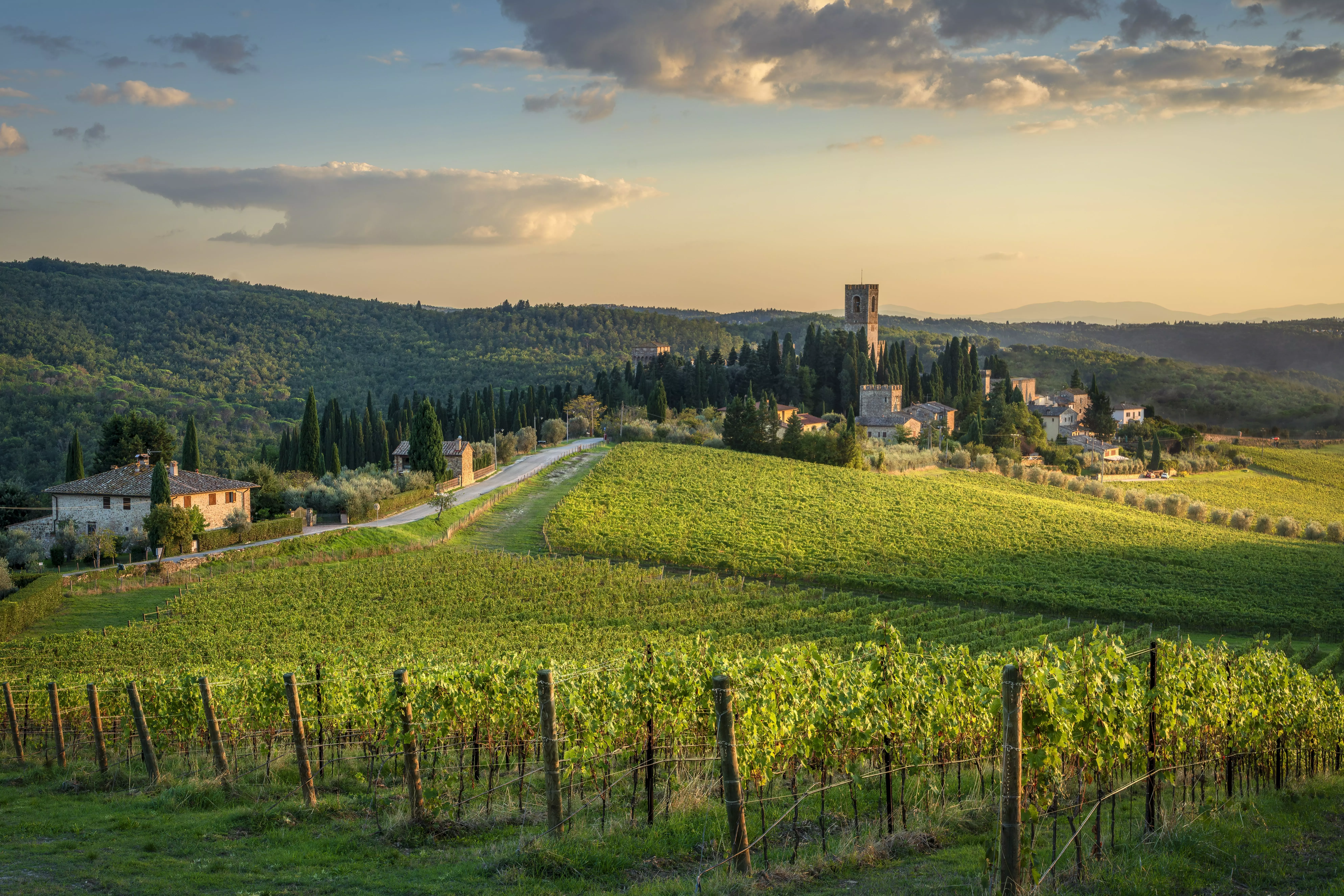 Another city famed for its wine culture, Florence is a must-visit for any wine enthusiast.