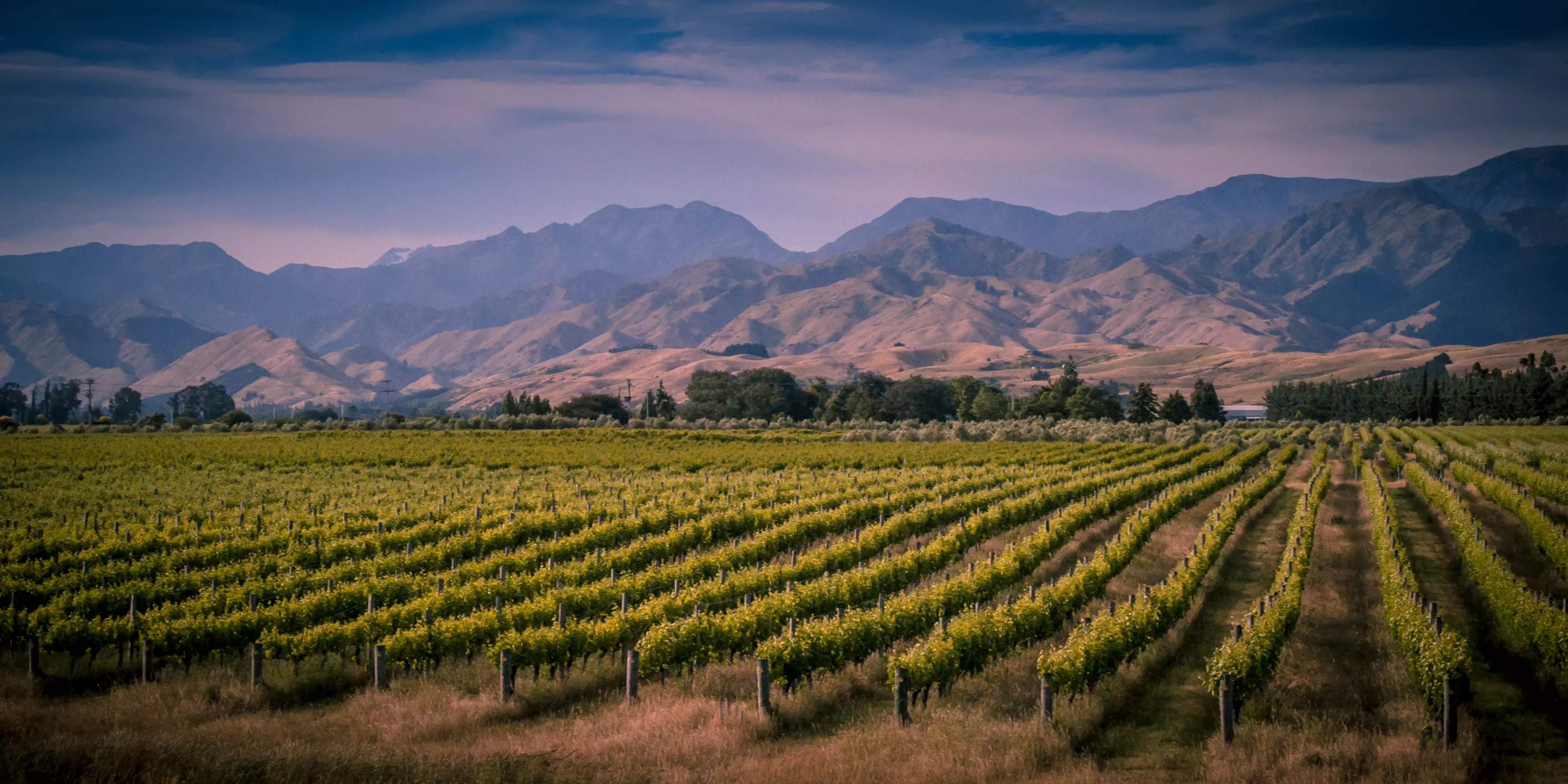 Marlborough, New Zealand, is one of the Southern Hemisphere's premier wine destinations.