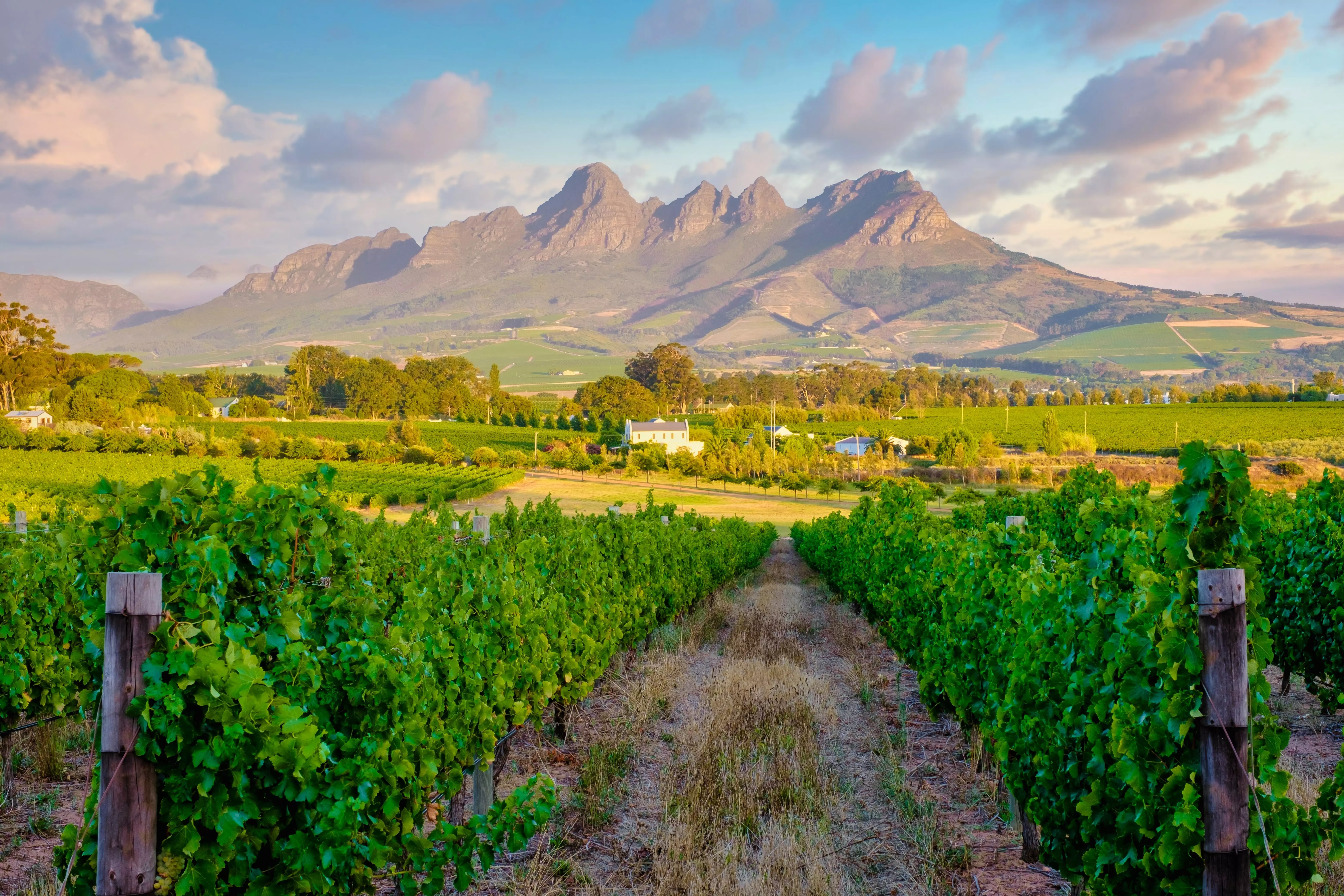 Stellenbosch is Africa's premier wine destination, ideal for wine lovers.