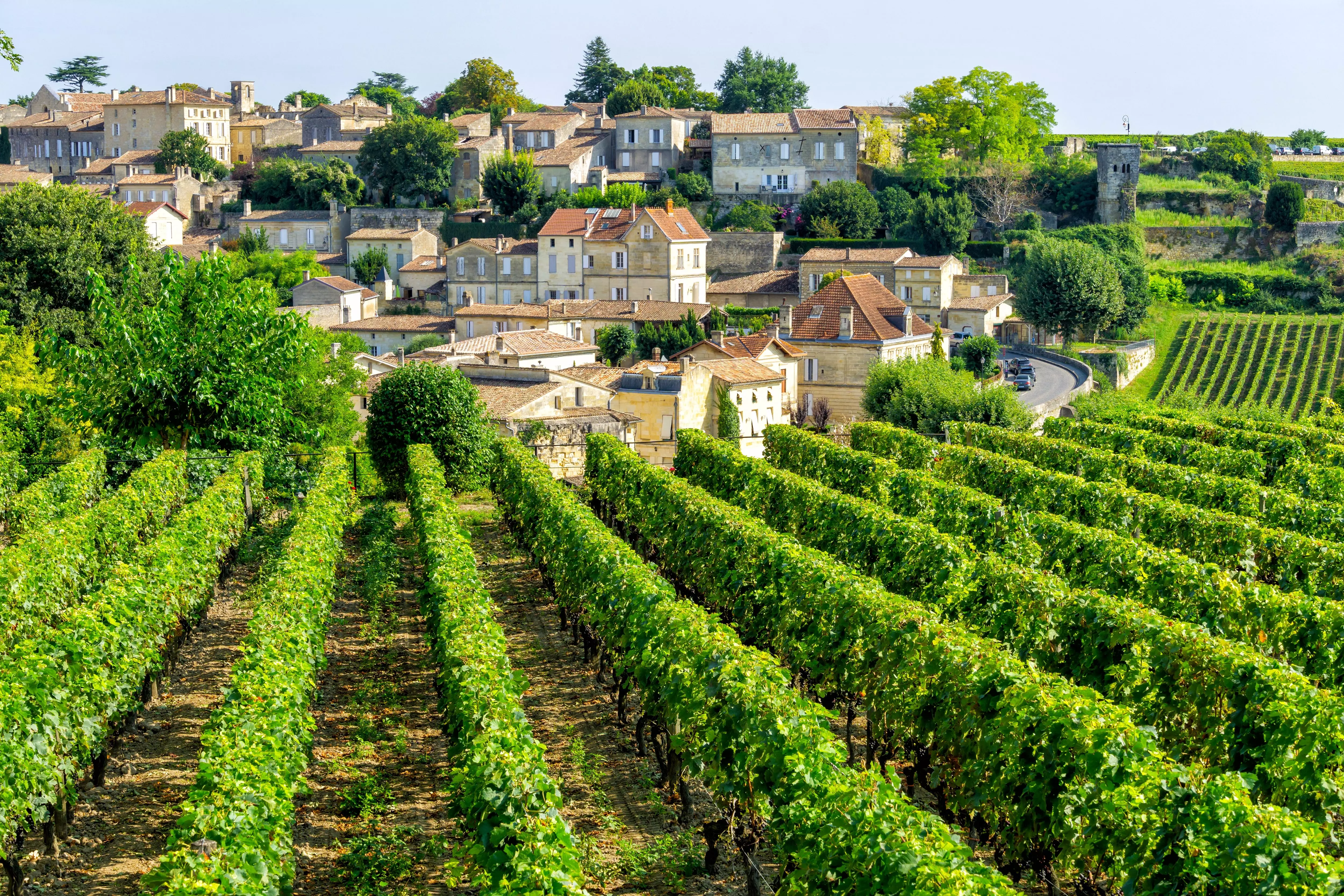 Bordeaux is a must-visit for any wine enthusiast, whether you're a beginner or an expert.