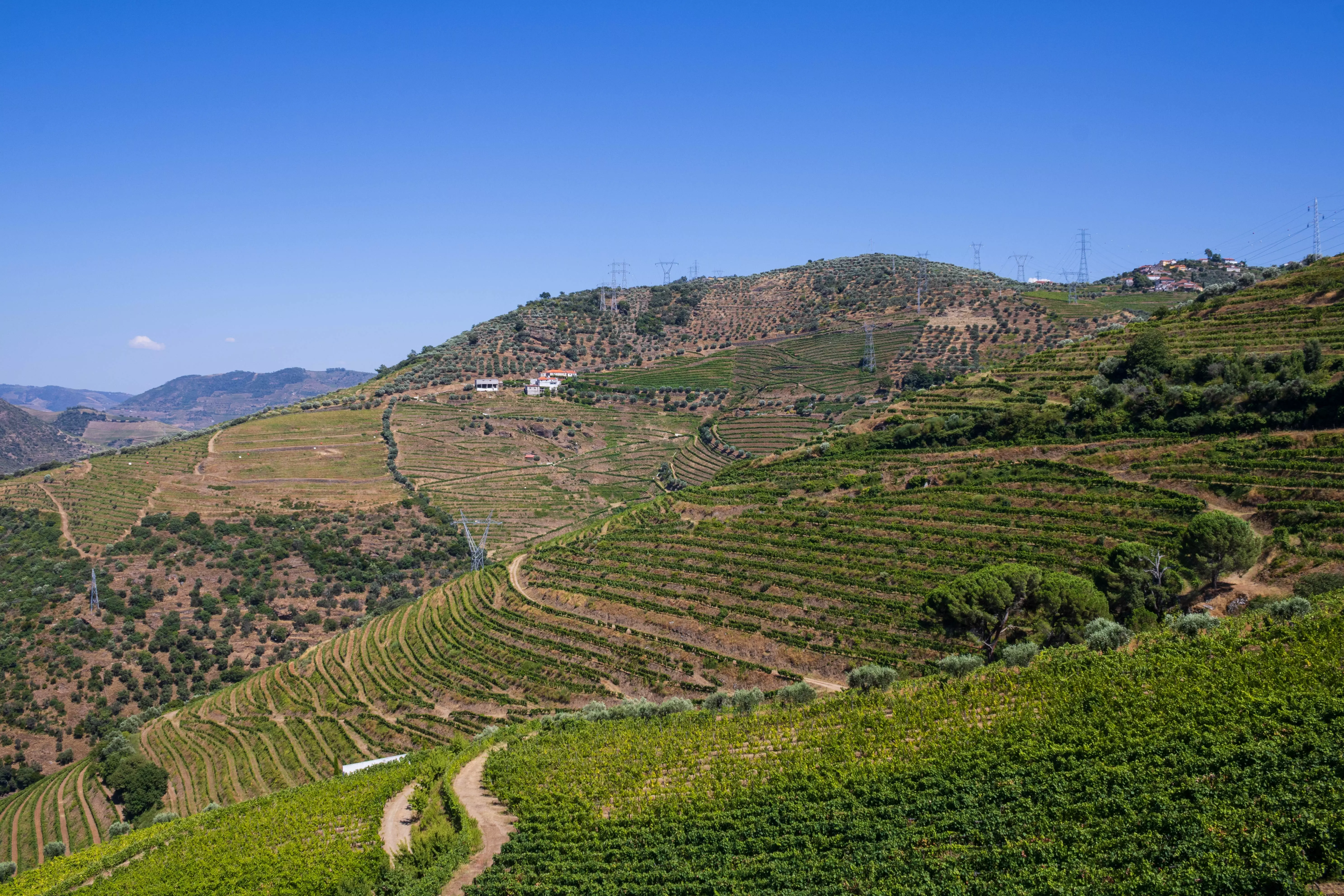 Porto's wine culture is one of Europe's most famous, and it makes for an excellent city break for wine lovers.