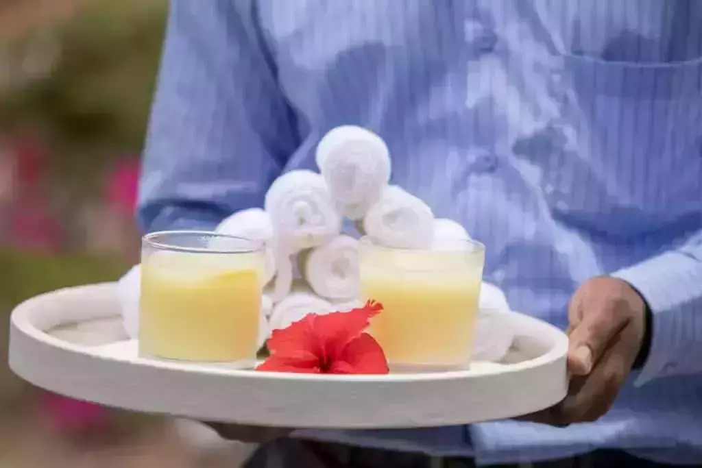 Tropical Cocktail Recipes for Virtual Happy Hour